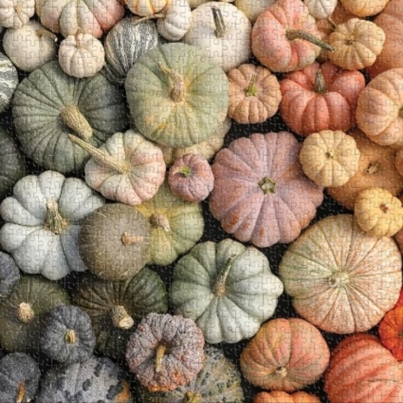 🧩 Jigsaw Puzzle 1000 pieces "Heirloom Pumpkins" by Galison 🧩 - Picture 7 of 7